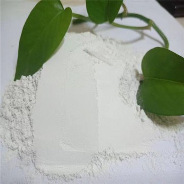 白堊粉 天然白堊粉 碳酸鈣 油畫國畫 畫 繪畫專用顏料高品質打底