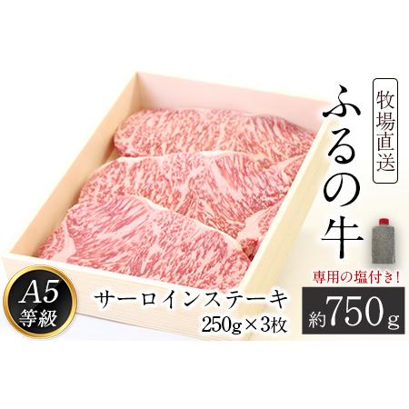 ふるさと納税 ふるの牛（黒毛和牛）特選サーロインステーキ 750g(250g×3枚) ゲランド塩付き A5 有限会社ふるの《30日以内に順次出荷(土日祝.. 福岡県鞍手町