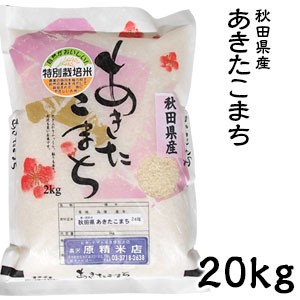 米 日本米 令和4年度産 秋田県産 あきたこまち 20kg