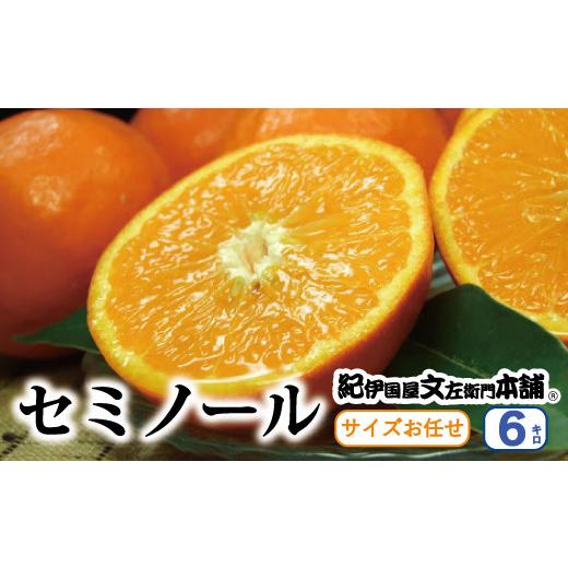 ふるさと納税 和歌山県 太地町 セミノールオレンジ 約6kg／サイズおまかせ　※2024年4月中旬〜5月下旬頃に順次発送予定(お届け日指定不可)　紀伊国屋文左衛門…