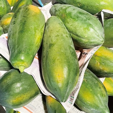 老欉木瓜屏東 網室木瓜台農二號產地直送 小農栽種 10斤