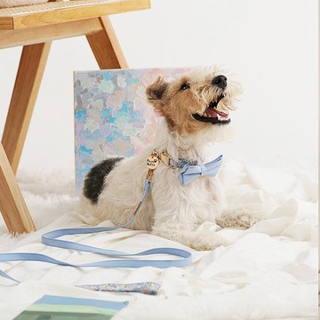 客製/領結可拆/棉質舒適 | 狗貓項圈-紫藤迷霧 Pawsholic爪迷