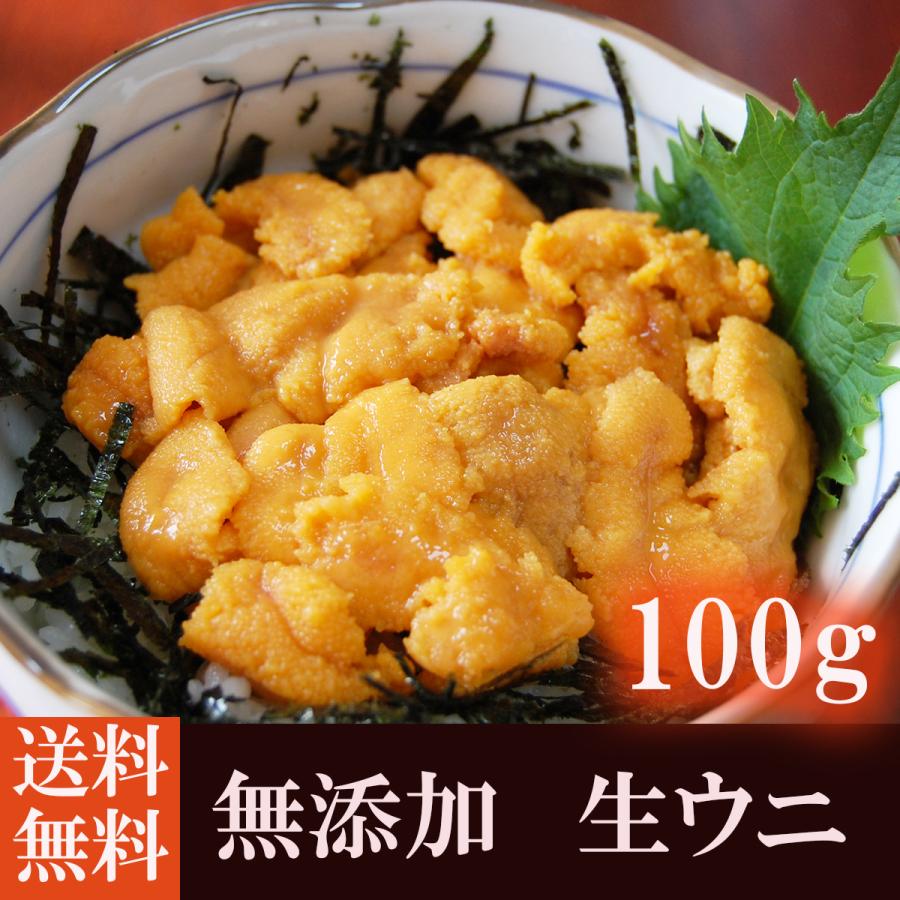 ウニ 訳あり うに 生食用 100g 無添加 業務用 自宅用 お歳暮 ギフト ミョウバン不使用 雲丹 刺身 送料無料