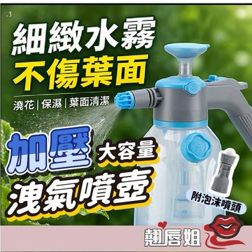 挑戰最超值 泡沫洗車噴壺 加強型氣壓式噴壺 耐酸鹼 噴霧瓶 噴瓶 洗車工具 噴壺 澆花噴壺 噴水壺 噴水器 泡沫噴瓶