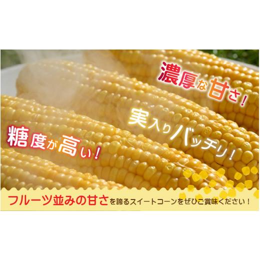 ふるさと納税 福井県 あわら市 朝採り スイートコーン 黄色 計10本 おおもの ／ ハウス栽培 低農薬 有機肥料 フルーツ並みの甘さ 甘い とうもろこ…