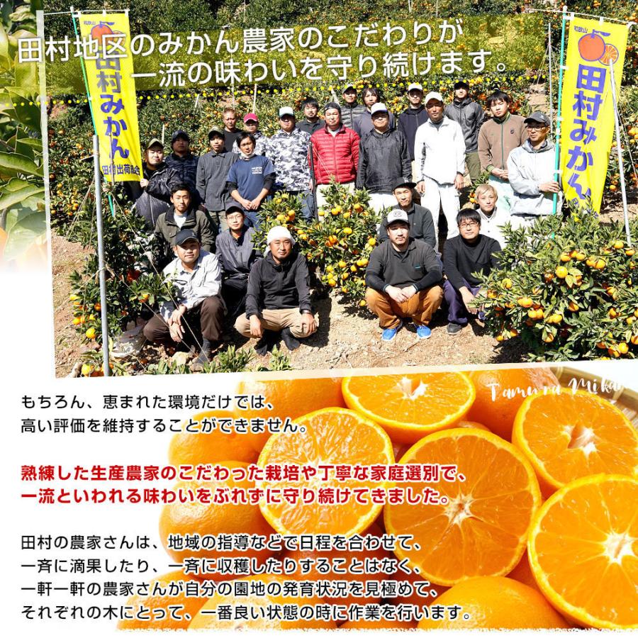 和歌山県より産地直送 田村出荷組合 田村みかん（早生温州みかん） ご家庭用5キロ（大小込み） 送料無料 有田 柑橘