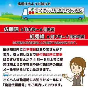 令和6年産 特秀品 さくらんぼ「 紅秀峰 」600g (300g×2パック) ２L以上 2024年産 山形県産 山形産 　032-A-AF004