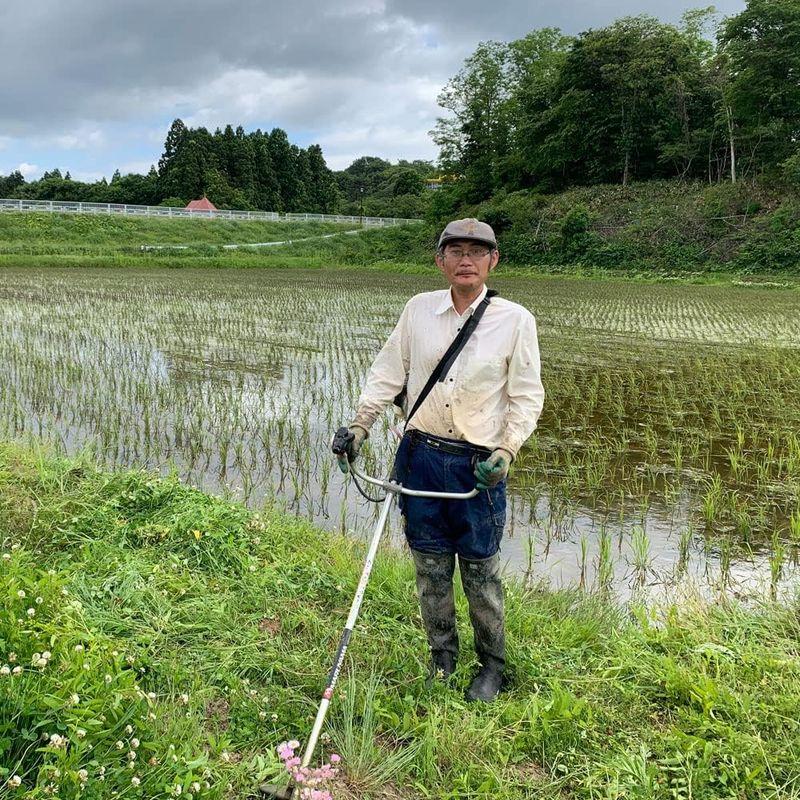 水菜土農園精米宮城県産 ひとめぼれ 5kg 令和4年産 古代米お試し袋付き