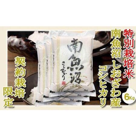 ふるさと納税 特別栽培 生産者限定  南魚沼しおざわ産コシヒカリ 新潟県南魚沼市