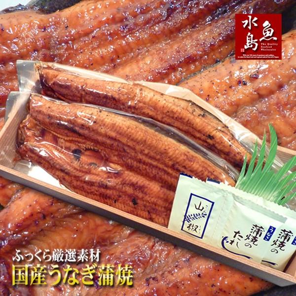 国産 鰻うなぎ蒲焼き ふっくら厳選素材 約30cm超特大 約200g×2尾 父の日ギフト 土用丑の日 お中元