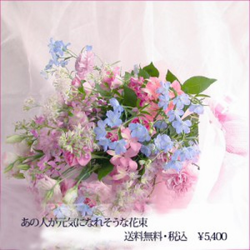 即日発送 16時〆切 生花 あの人が元気になれそうな花束 Ab 送料無料 お見舞い 花まりか フラワー 母 誕生日プレゼント 快 通販 Lineポイント最大1 0 Get Lineショッピング