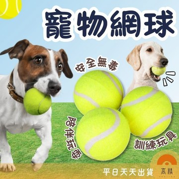 網球 寵物網球 練習網球 狗狗網球 寵物玩具 寵物玩具球 寵物耐咬球