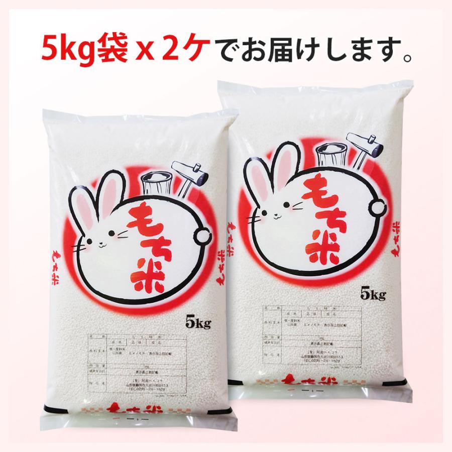 令和5年産 ヒメノモチ もち米 10kg (5kg×2袋) 送料無料 国内産 餅米 山形県産 (別途送料加算地域あり)