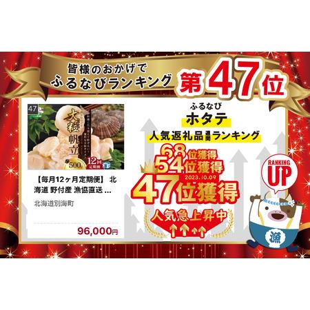 ふるさと納税  北海道 野付産 漁協直送 冷凍ホタテ 貝柱大粒ホタテ500ｇ be018-0055-100-12 （ ほたて ホタテ 帆立 貝柱 玉.. 北海道別海町