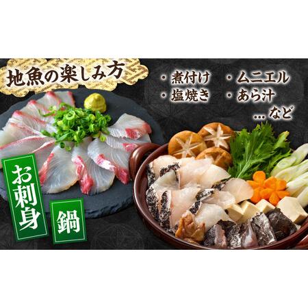 ふるさと納税 朝獲れ！平戸地魚詰合せ定期便[KAA304]  長崎 平戸 魚介類 魚 鮮魚 内臓処理 下処理 旬魚 .. 長崎県平戸市