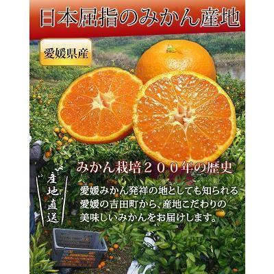 4営業日以内に発送　愛媛みかん５kg