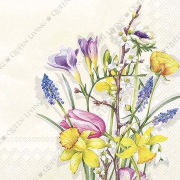 德國 IHR-33*33cm餐巾紙-春花米色