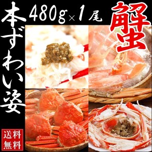 ボイルズワイガニ姿 (１尾セット 一匹約480g)ずわいがに 松葉蟹