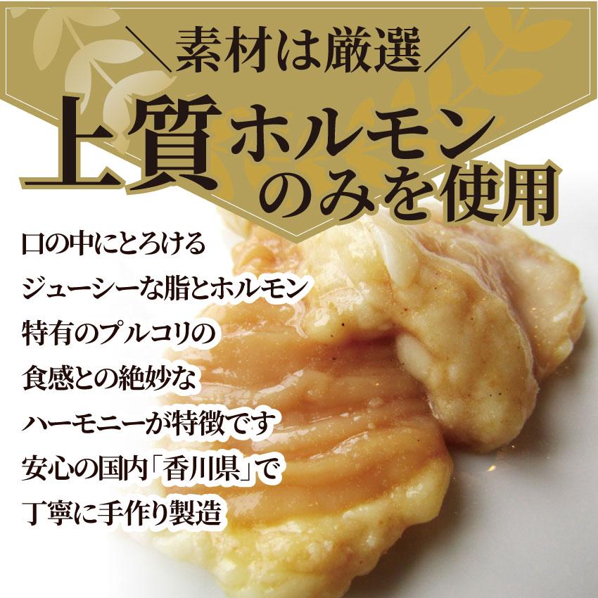 焼肉 牛肉 肉 ホルモン テッチャン モツ シマチョウ 3kg 250g×12袋 バーベキュー 焼くだけ