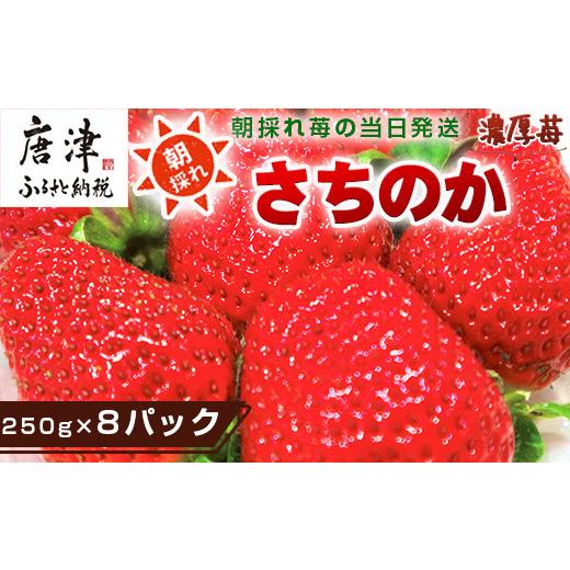 ふるさと納税 佐賀県 唐津市 『予約受付』濃厚苺 さちのか 250g×8パック(合計2kg) 濃厚いちご 苺 イチゴ 果物 フルーツ ビタ…