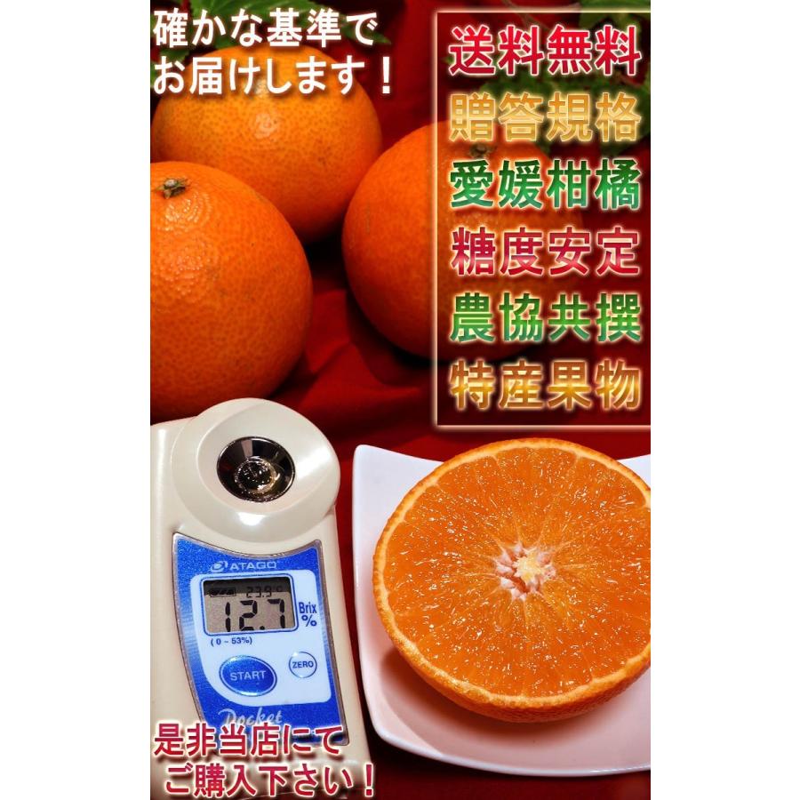 紅まどんな 約1.5〜2kg 6〜12玉入り 愛媛県産 贈答規格 愛媛オリジナルの高級フルーツ！プルプルの果肉に豊かな甘み