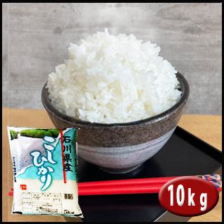 5年産  米10kg 石川県産コシヒカリ (5kg×2)（能登半島のお米） 白米