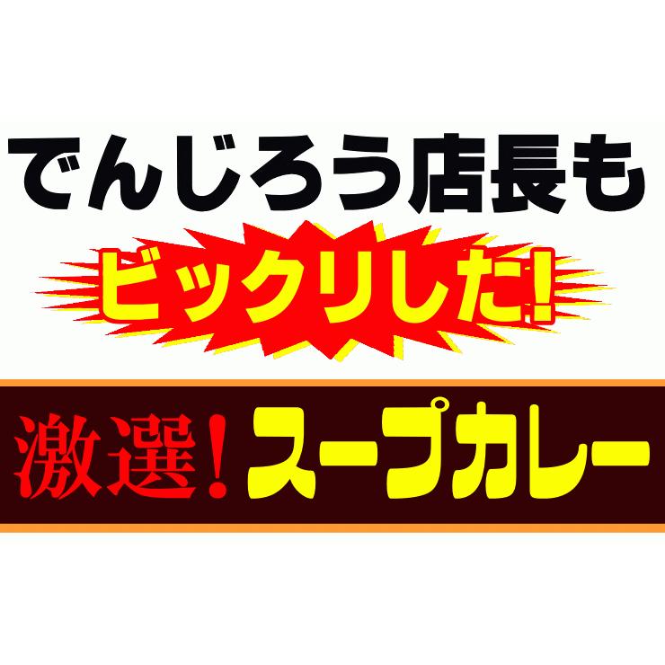 送料無料 うどん 激選スープカレーうどん20人前セット