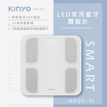 KINYO LED家用藍牙體脂計（NDS-250W）_廠商直送