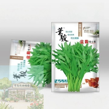 🥬原包裝空心菜種子 （盆栽空心菜種子）高產當年新種 四季種植  蔬菜種子 親測發芽率80%不發芽就退款