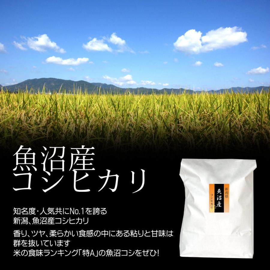 魚沼産コシヒカリ ECO・エコパック（エコ梱包・簡易梱包） 玄米 3kg