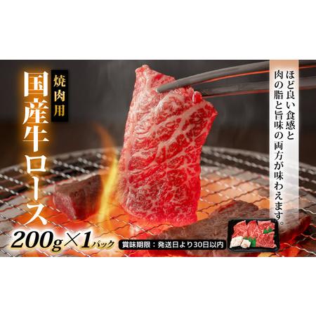 ふるさと納税 国産 お楽しみ 焼肉セット 合計1.4kg以上 [e03-b004] 福井県越前町