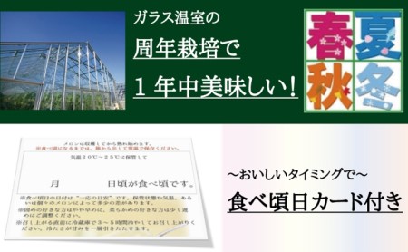 クラウン印マスクメロン“名人メロン”1玉 桐箱入り