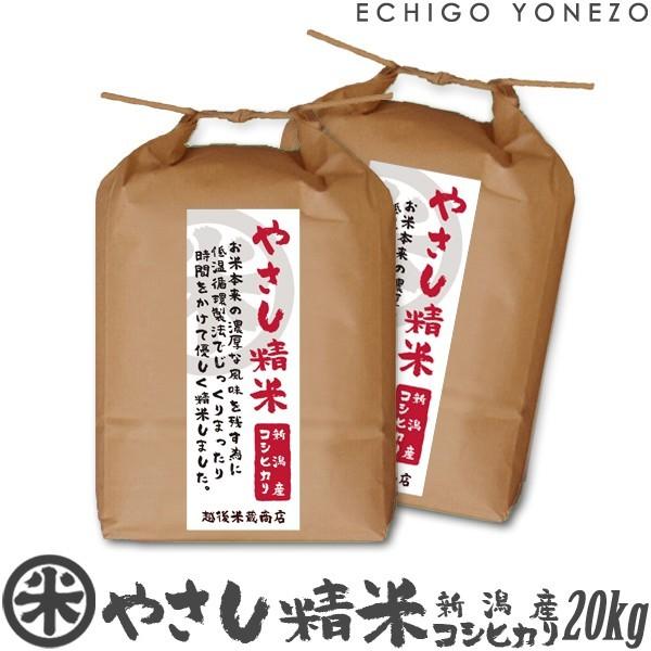 [新潟米 令和4年産] 新潟産コシヒカリ やさし精米 20kg (5kg×4袋) 低温循環精米 新潟米 お米 白米 新潟県産 こしひかり 送料無料 ギフト対応