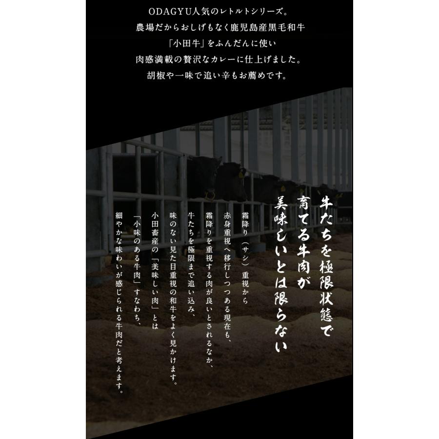 鹿児島黒毛和牛　小田牛の黒毛和牛カレー×３個セット   黒毛和牛 小田牛 ボロネーゼ パスタ  お祝い （北海道・沖縄別途送料）