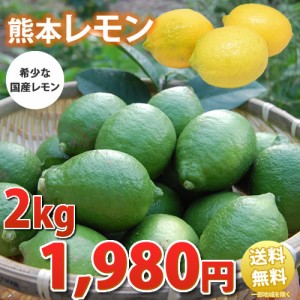 レモン 2kg 希少な国産 熊本県三角産 れもん 檸檬