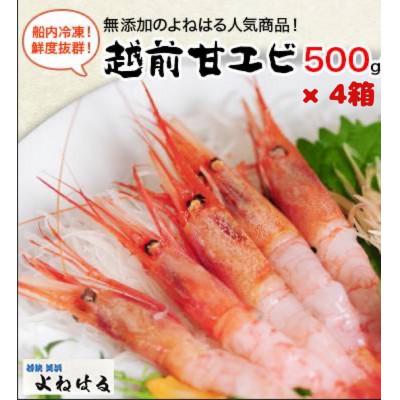 ふるさと納税 美浜町 大好評!越前甘エビ　2kg(1箱約35尾入りを4箱お届けします)