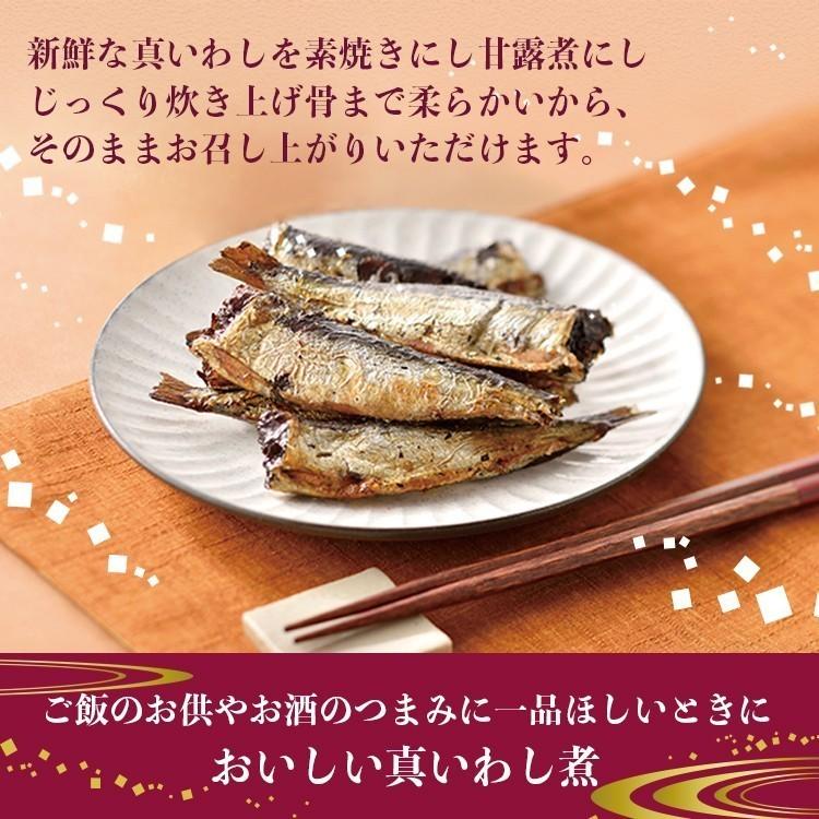 おいしい真いわし煮 日本自然発酵 150g×2個 食品