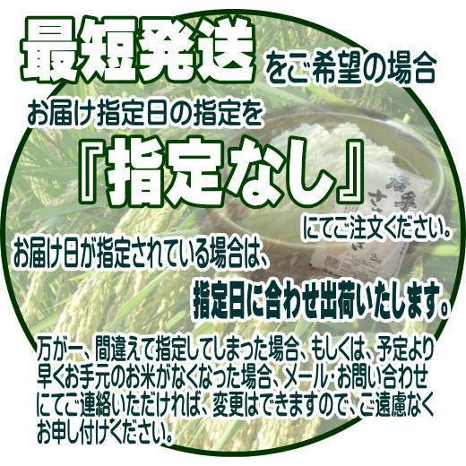 米 新米 令和5年 無洗米 米 10kg お米 ササニシキ 5kg×2袋 岩手県産 送料無料