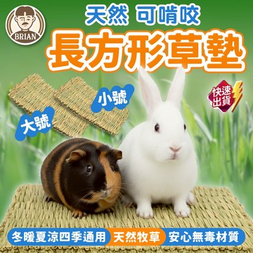 小寵編織草墊 【布萊恩👨🏻隔日到貨】兔子草墊 小寵草墊 草墊 編織草墊 倉鼠草窩 刺蝟草蓆 倉鼠 寵物草蓆墊