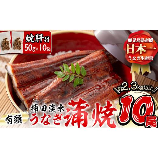 ふるさと納税 鹿児島県 志布志市 楠田の極うなぎ蒲焼き 230g以上×10尾(計2.3kg以上) 焼肝10袋付き wa24-004