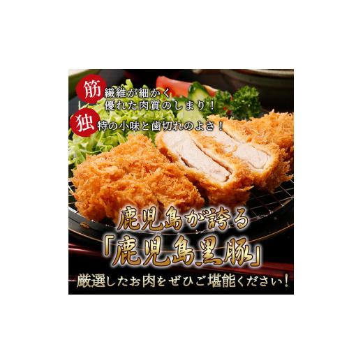 ふるさと納税 鹿児島県 志布志市 b0−００８　黒牛サーロインステーキ＆黒豚ロースとんかつセット（800ｇ）