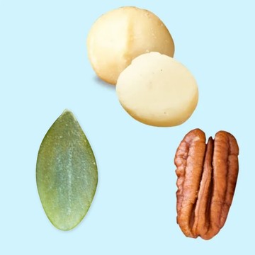 【堅強堅果】3件組(夏威夷豆+胡桃+南瓜子)