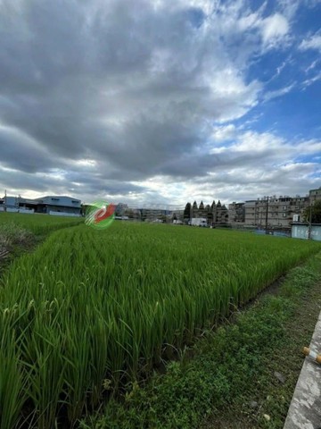 八德茄苳段都計內農地　超方正、臨１２米路、超稀有｜桃園市八德區茄苳段