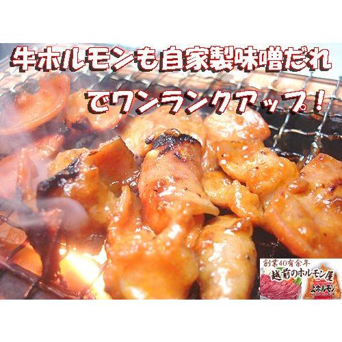 店長おすすめ メガ盛りホルモンセット 送料無料  お歳暮 父の日 バーベキュー 焼肉 Ｂ級グルメ 肉の日  牛ホルモン 豚ホルモン