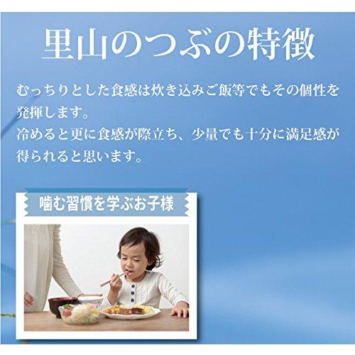 新米 里山のつぶ 精米 5kg 会津産 令和5年産 お米