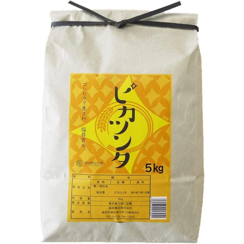 福井県産ピカツンタ 白米 令和4年産 限定品種 (5kg)