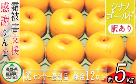 りんご 5kg  果物 シナノゴールド 訳あり 長野県 「感謝りんご」 交換保証 不揃い 規格外 傷あり ５キロ (１２から２５玉) R6年11月頃から順次発送  飯綱町[1208]