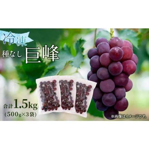 ふるさと納税 福岡県 八女市  かの蜂 冷凍フルーツ 巨峰 種なし 1.5kg （500g×3袋）  国産 種なし巨峰