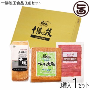 ギフト 十勝池田食品 3点セット ちほく高原ベーコン 十勝ロースハム スパイスビーフ 各1個 北海道 十勝 贈り物