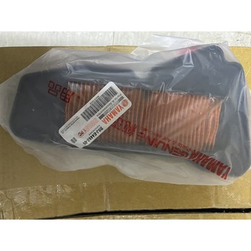 空氣濾網（小小兵125，RSneo，勁豪7期車）$169